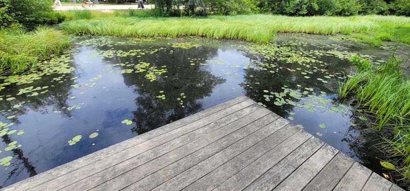 Circle The Cranberry Bogs On The Most Photogenic Loop