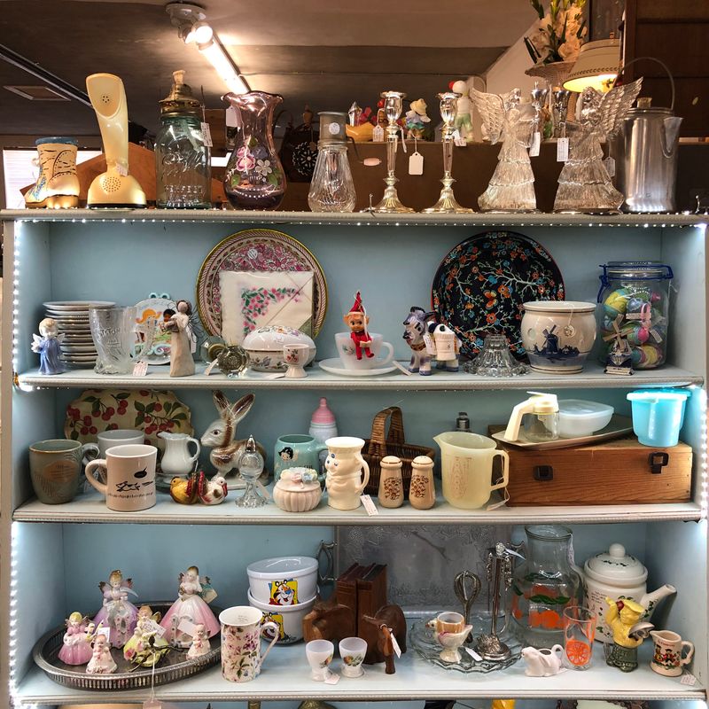 Mini Museum Of Curios