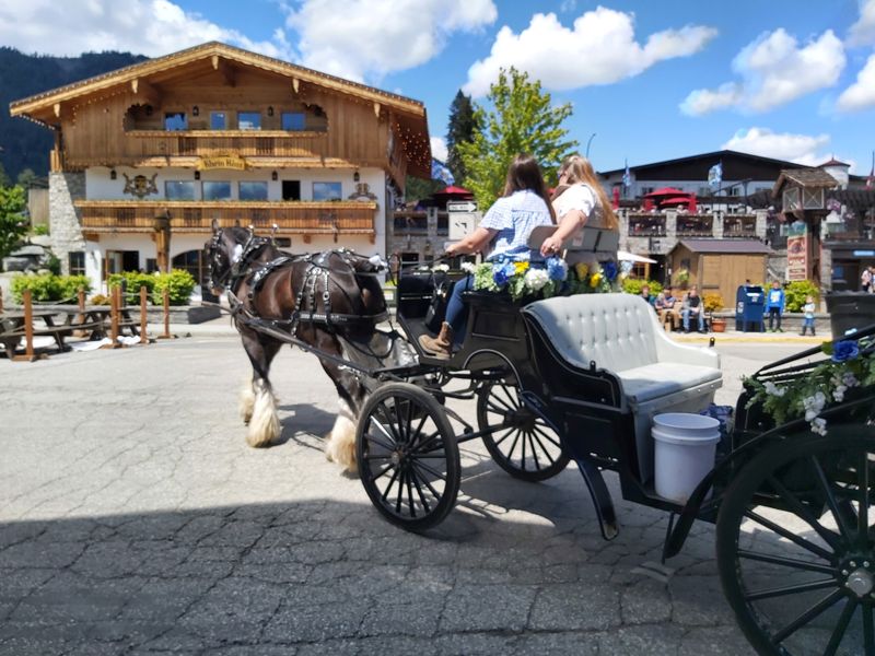 Family-Friendly Atmosphere and Activities