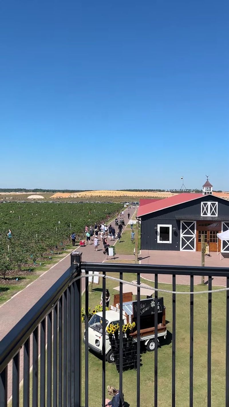 Sunsets From the Gift Shop Overlook