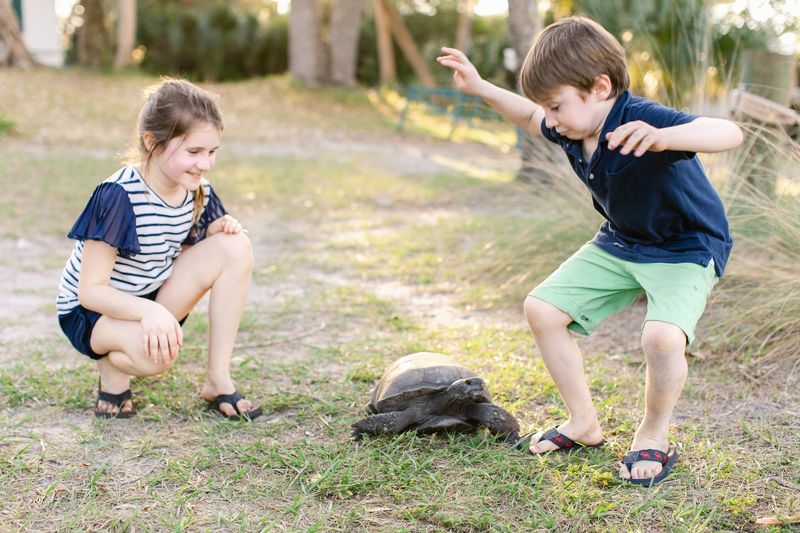 Pet-Friendly and Family-Friendly Details