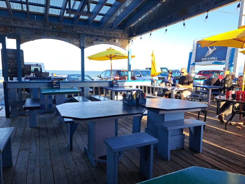 A Pet-Friendly Deck That Welcomes Four-Legged Guests