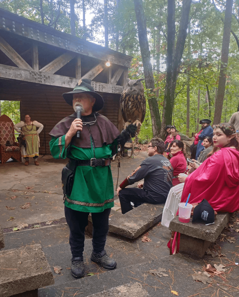 Themed Food Experiences and Festival Fare