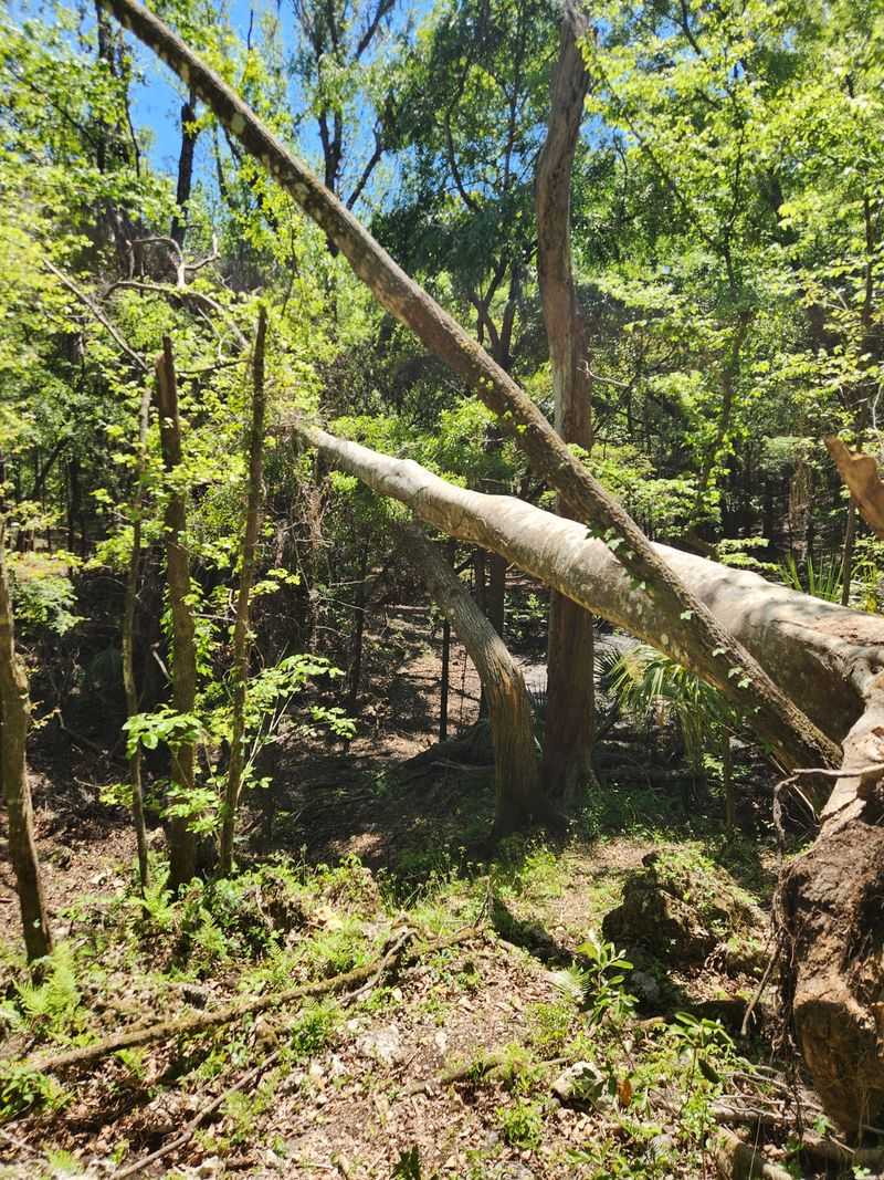 Limestone Storybook: Geology You Can Touch