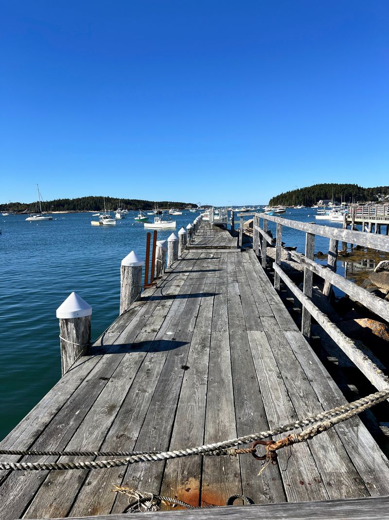 Isle Au Haut: The Wild Neighbor