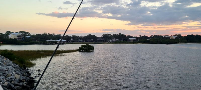 Fishing From the Big Bridge