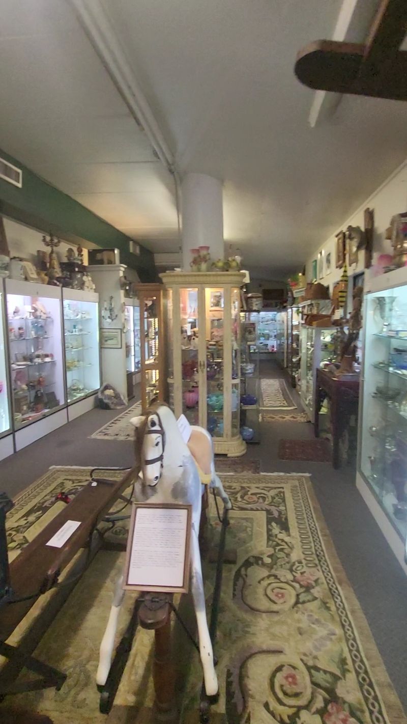 The Pet-Friendly Browsing Experience