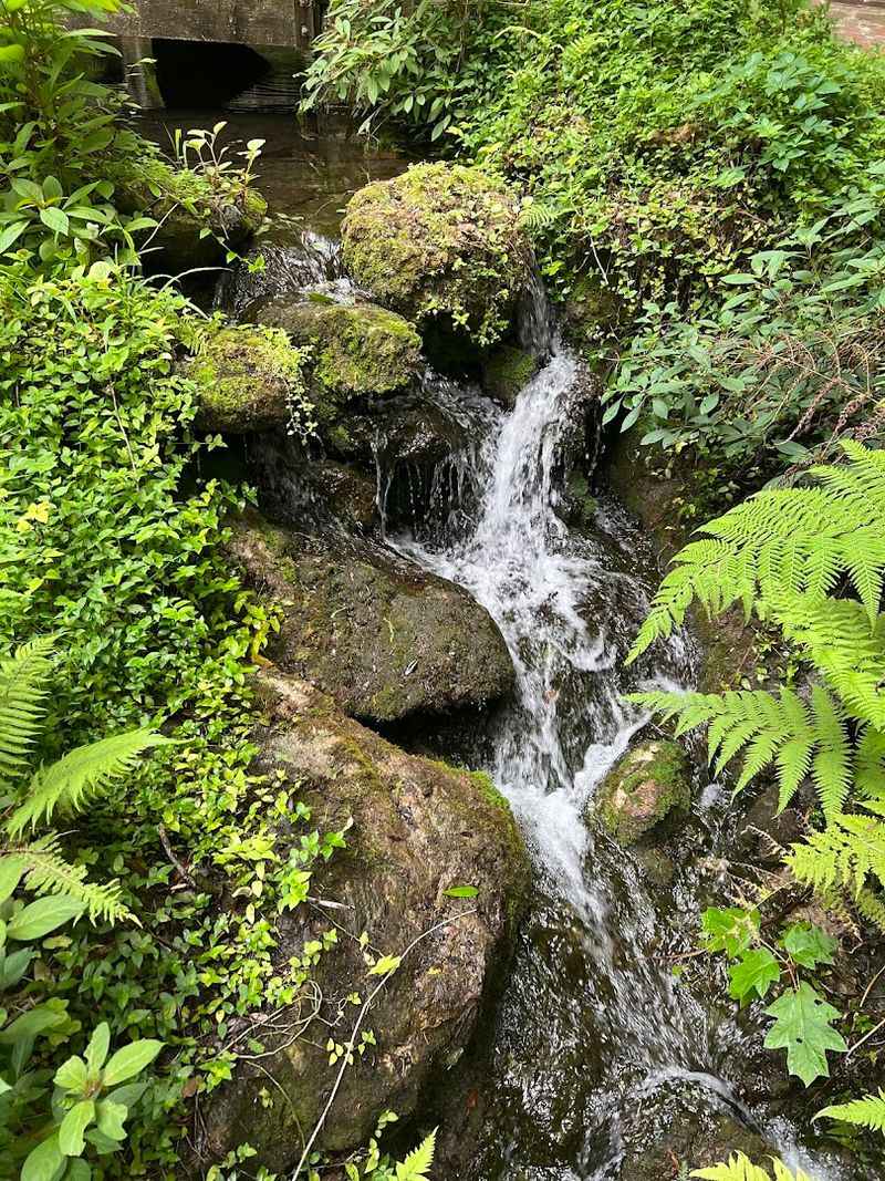 Where To Spot the Waterfalls
