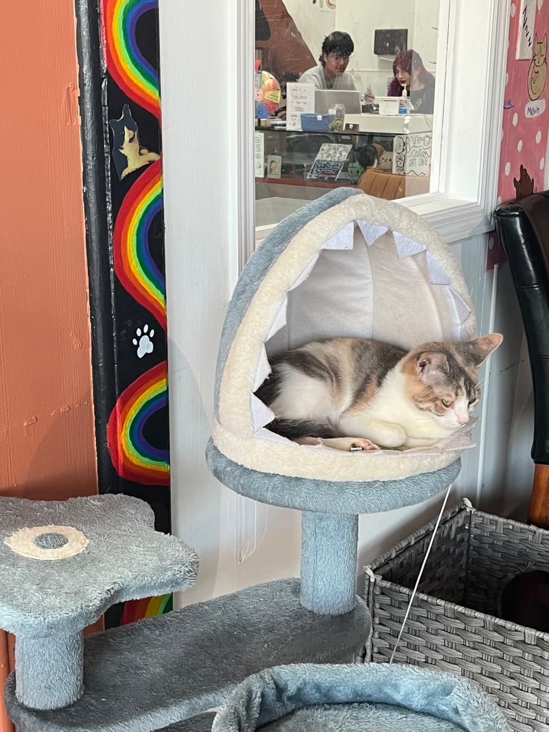 Accessibility And Comfort Details