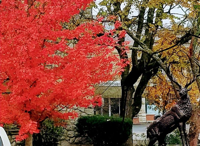 Seasons In Jasper: Practical Planning