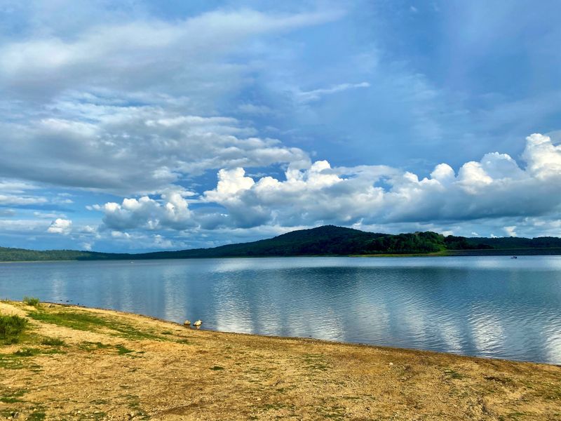 Closing thoughts by the blue bowl