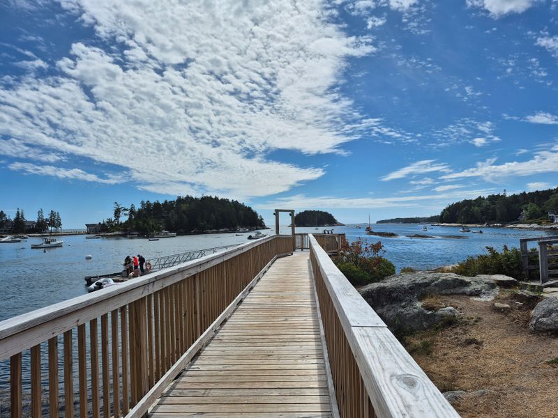 Approaching the Wharf at First Light