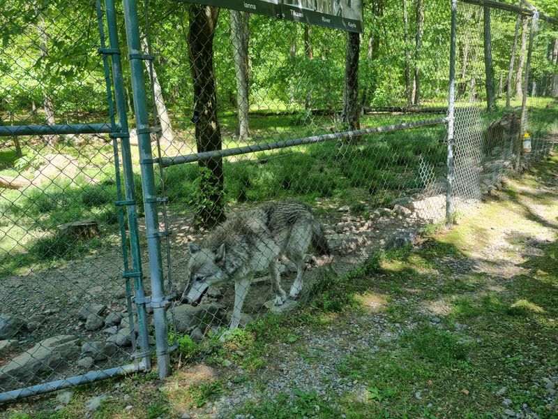 What To Wear and Bring