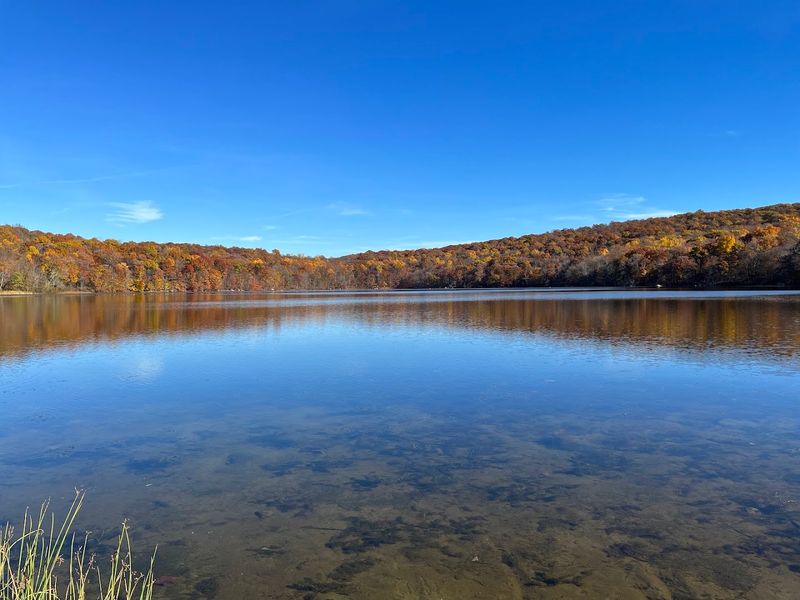 Ringwood State Park: Gardens, Manors, and Lake Views
