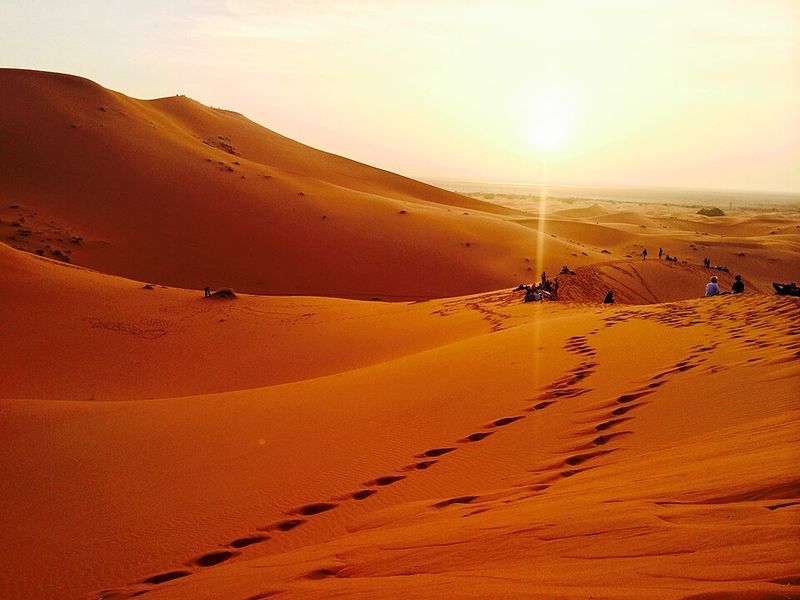 Reading the Dunes Like a Local