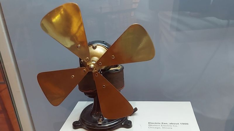 Design Variation: Everyday Objects With Unruly Beauty