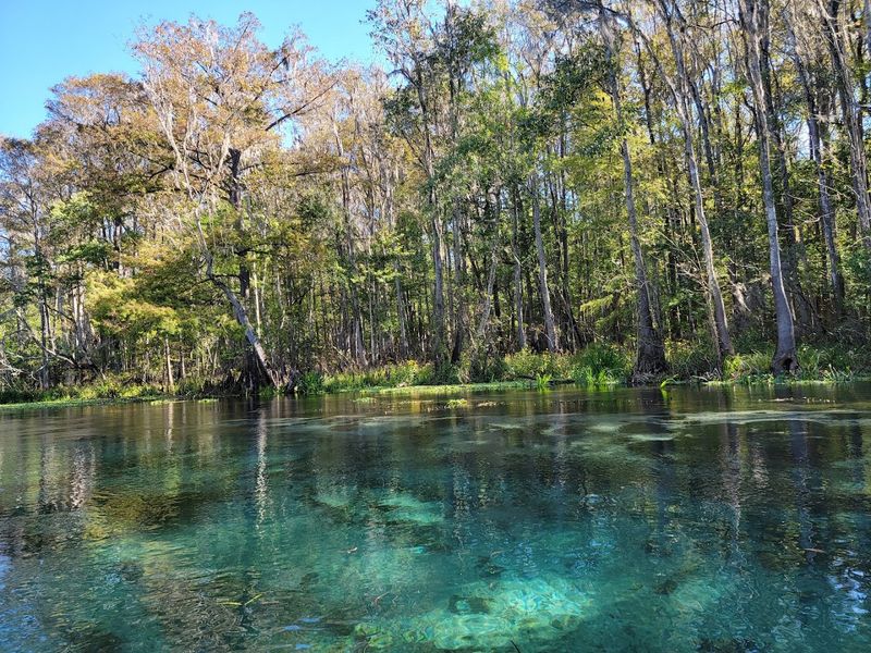 Ichetucknee Springs (Fort White)
