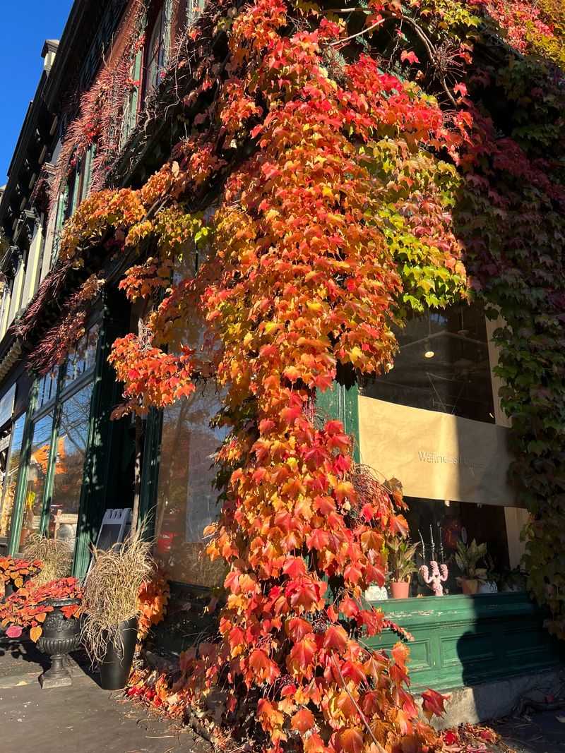 Cold Spring, New York