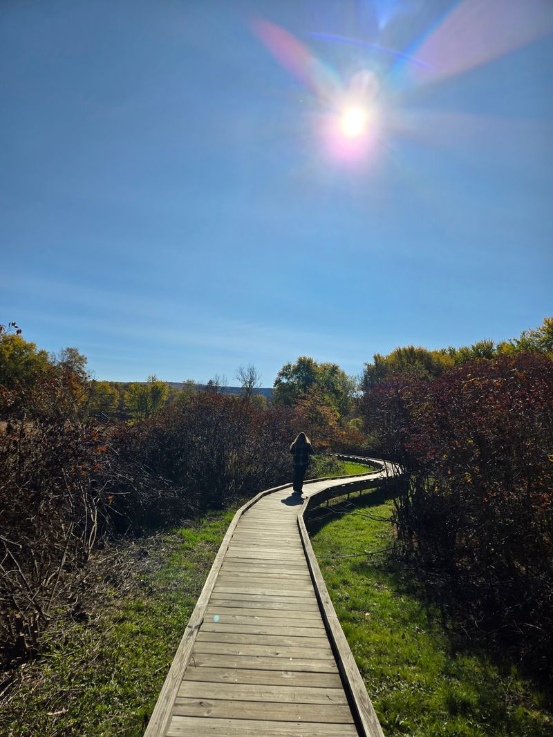 When To Go For Peace And Quiet