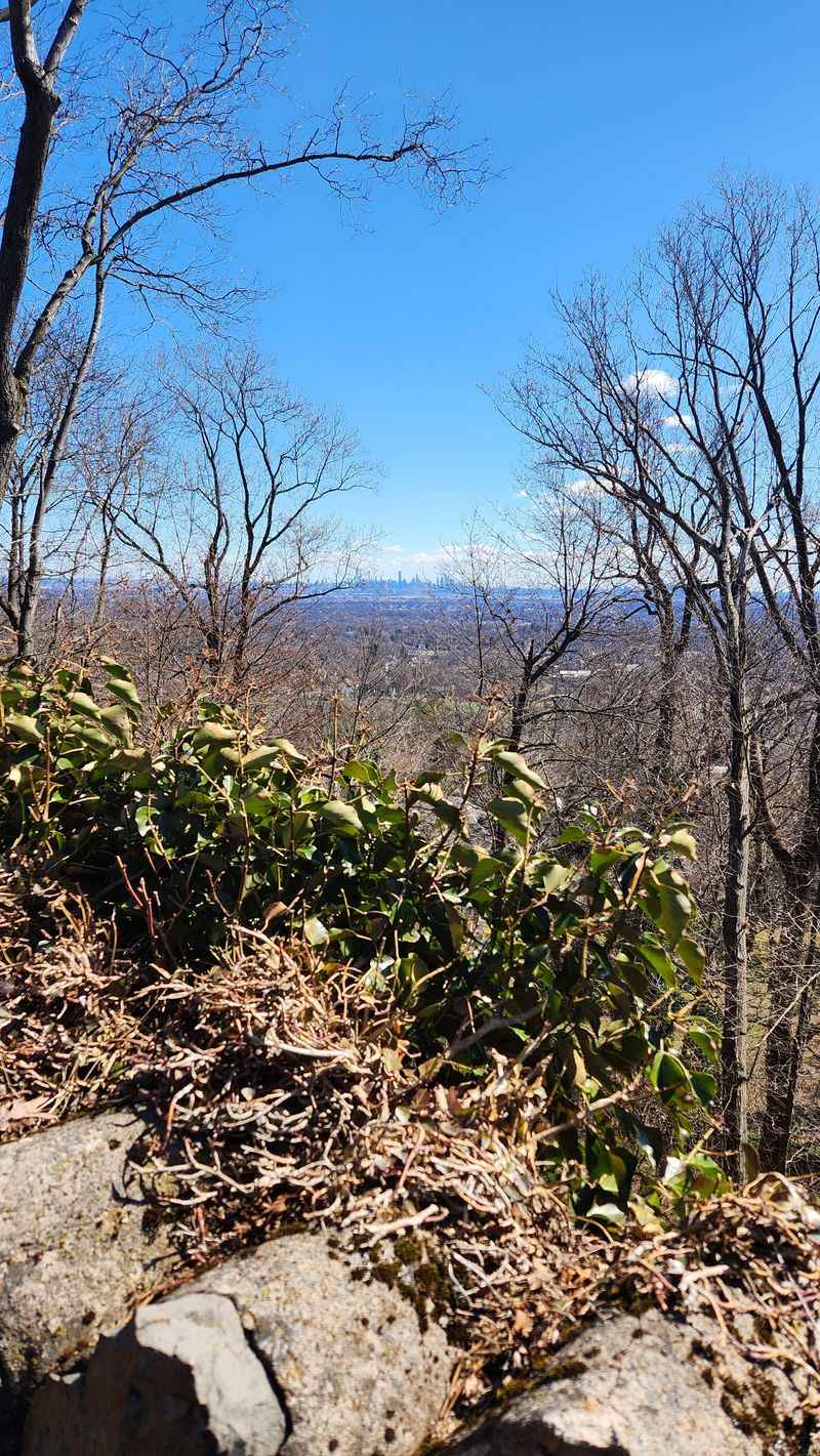 Nearby tie-ins without losing focus