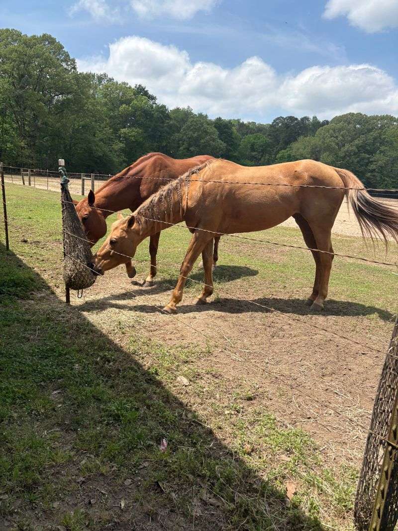 Why This Experience Matters