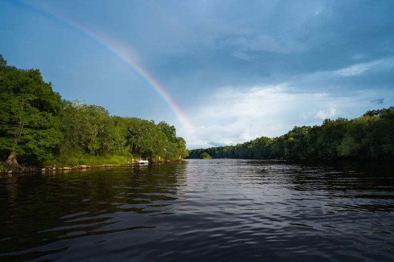 Suwannee River Overlook