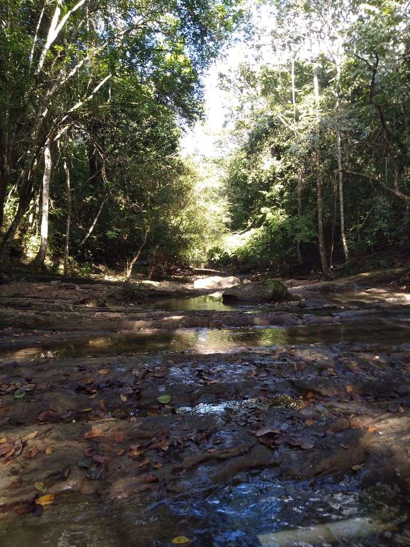 Darien Gap - Panama/Colombia