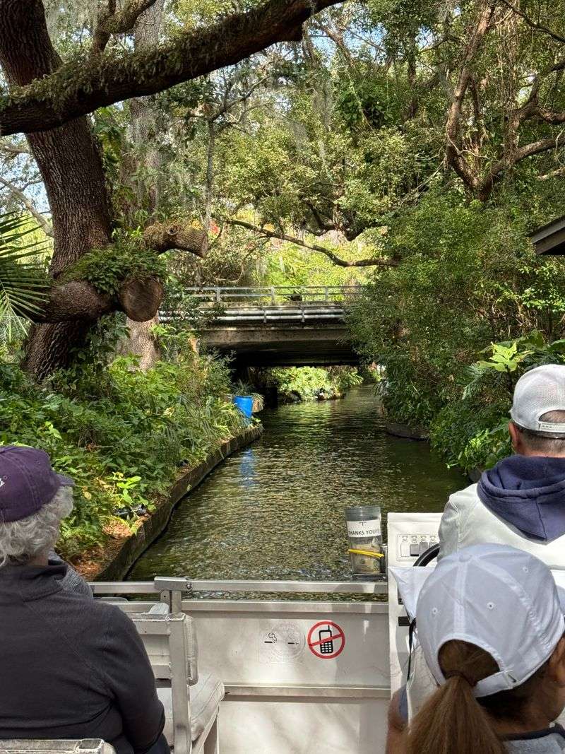 Bridge Squeeze and Cheer