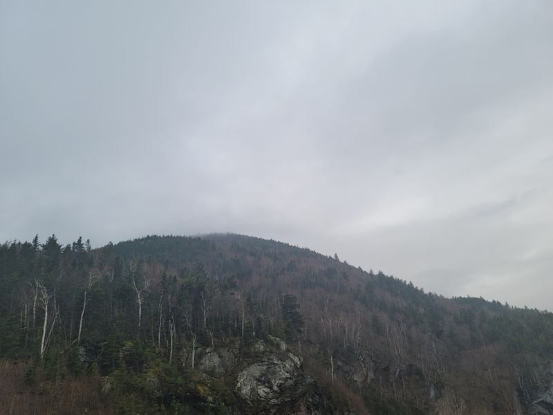 Appalachia Has a Quiet, Powerful Tradition of Mutual Aid