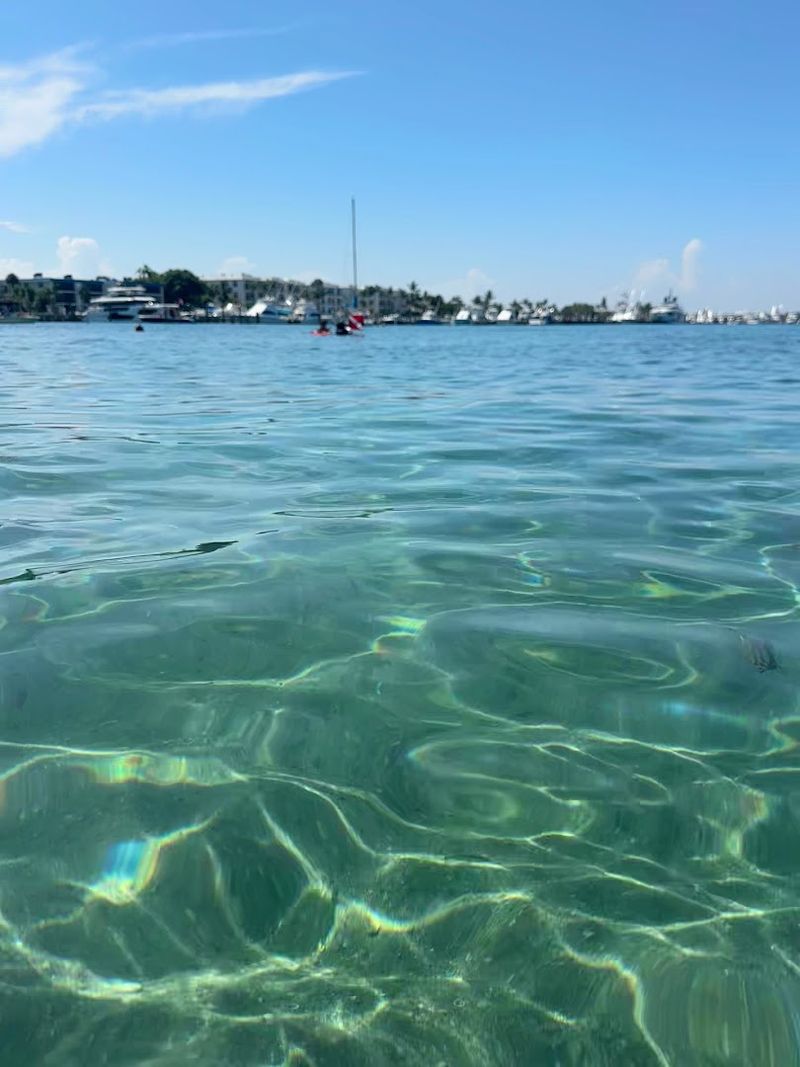 Best Time of Day and Tidal Tips