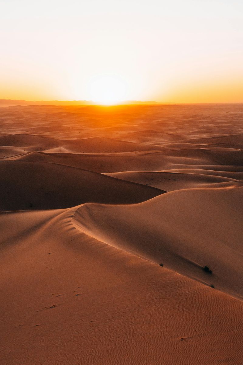 Sunrise Rituals and Quiet Wins