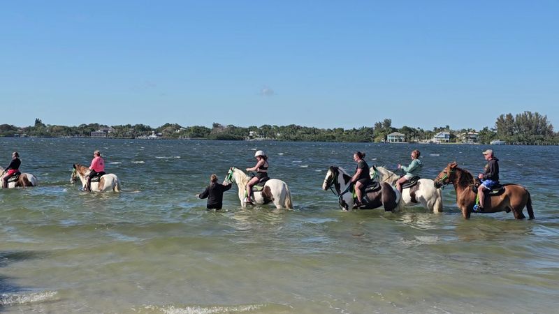 Perfect for All Skill Levels, Including Total Beginners