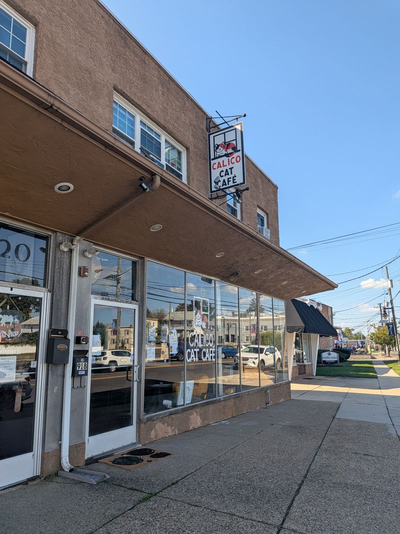 Getting There: Parking And Nearby Strolls