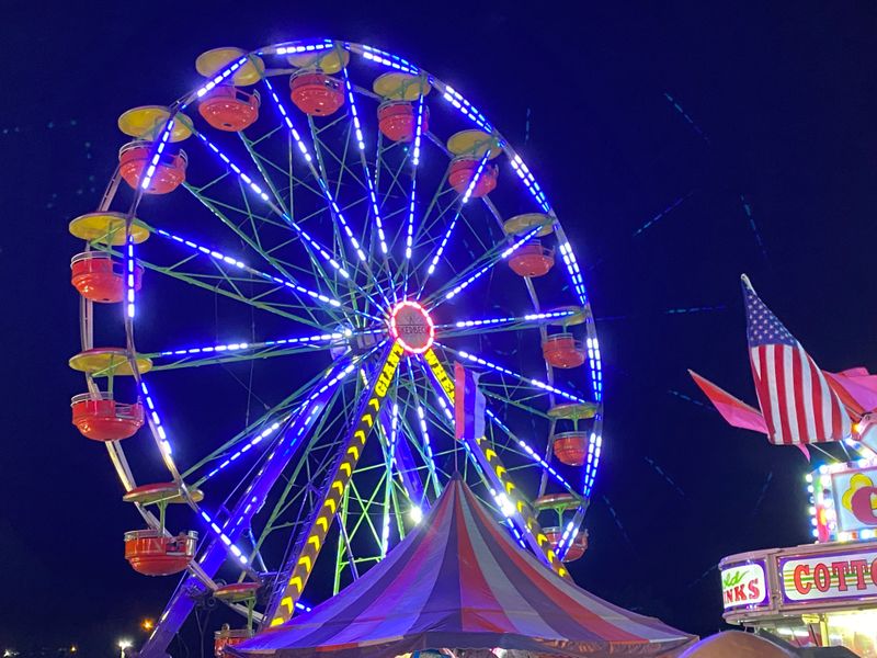 Allegan County Fair Flea Days, Allegan