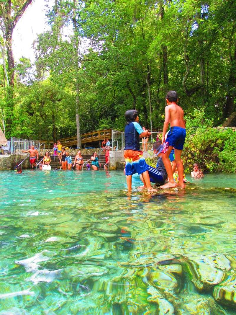 South Entrance Launch for Families