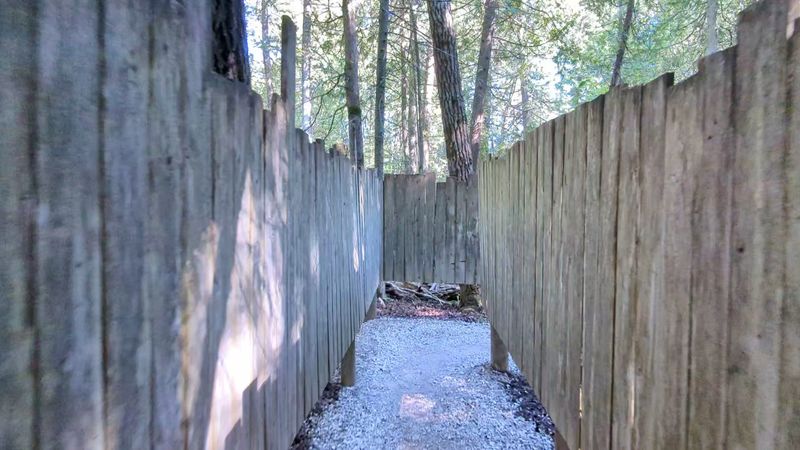 The Wooden Maze Challenge