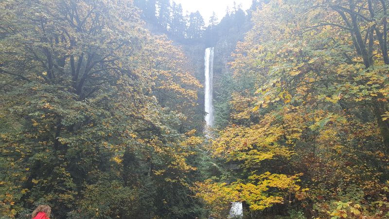 Latourell Falls Loop - Columbia River Gorge