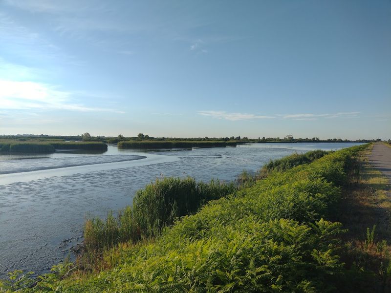 Polesine Area — Rivers, Rustic Towns & Delta Nature