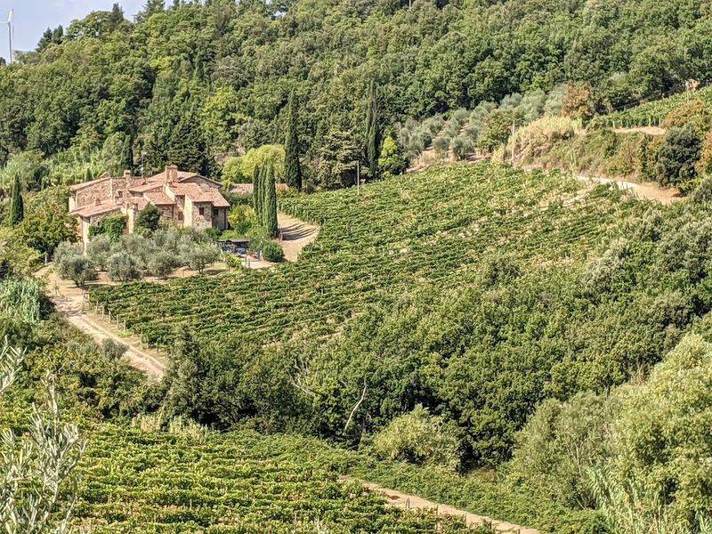 Castellina in Chianti — Wine Roads & Olive Mills