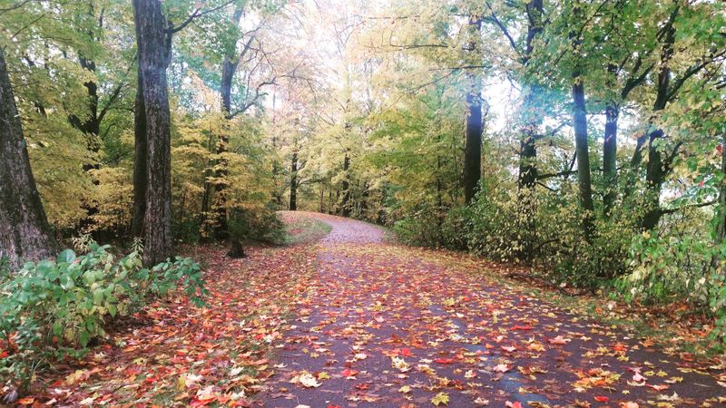 Stowe Recreation Path at First Light