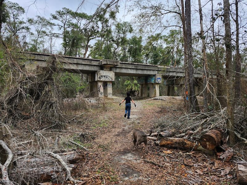 Hurricane Damage and the Slow Recovery