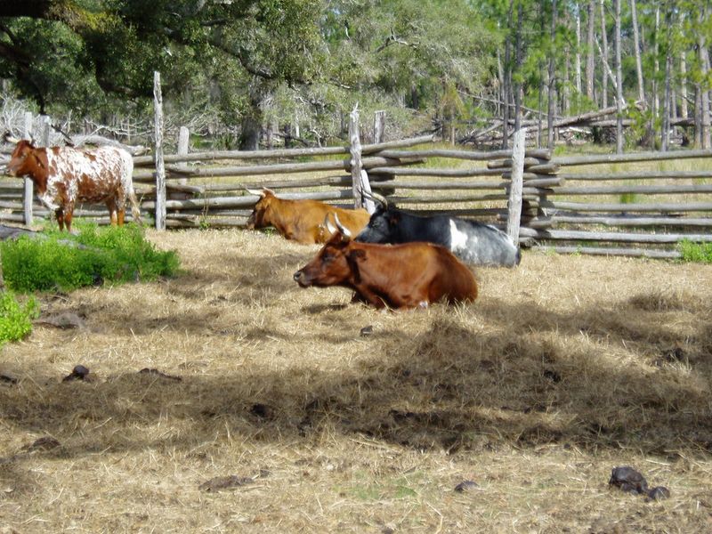 Quiet & Less Crowded