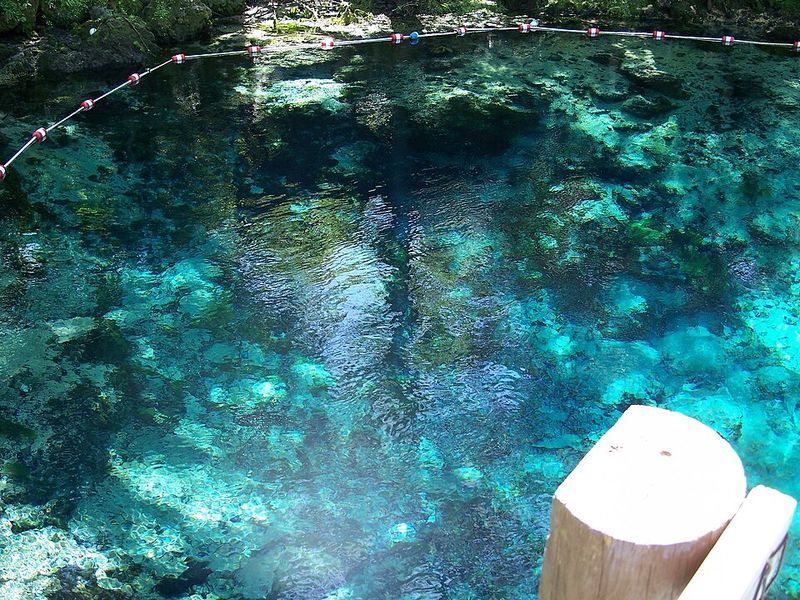 Nearby Springs & Parks