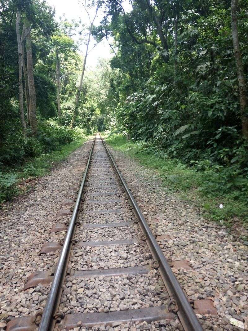 Gemas to Tumpat, Malaysia (Jungle Railway, East Coast Line)