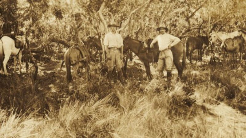 Lost Journals That Never Appeared