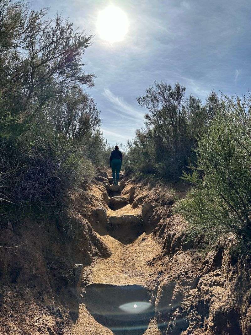 Upper Sister: Scramble, Exposure, Reward