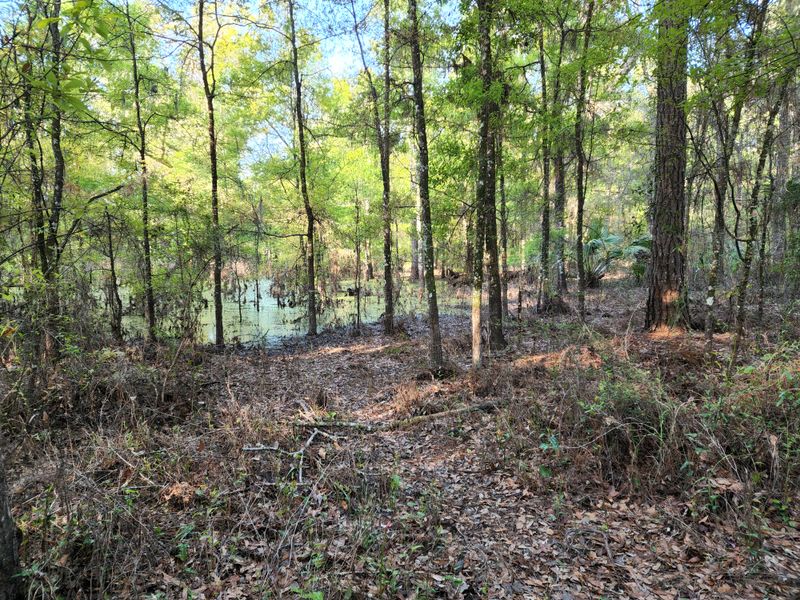 Snack Break With A View: Rim Side Reset