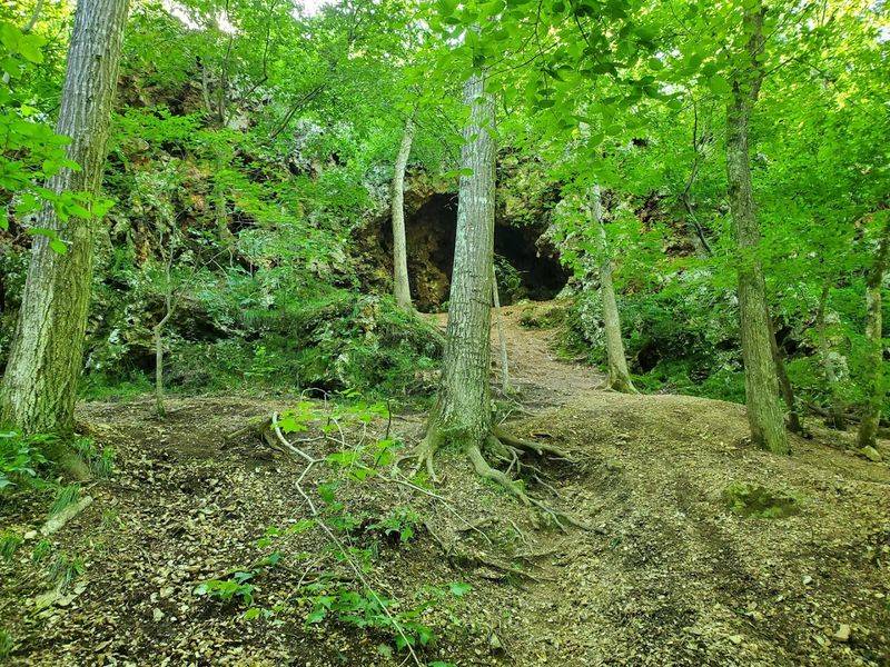 Practical Tips for a Smooth Visit