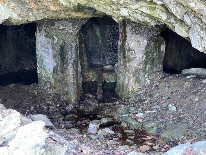 Best Times and Photography Notes