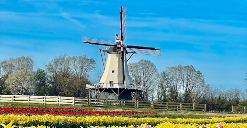 New Jersey Has a Tulip Field That Feels Endless and It’s Pure Spring Magic